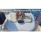 Luxury Motor Yacht Private Charter